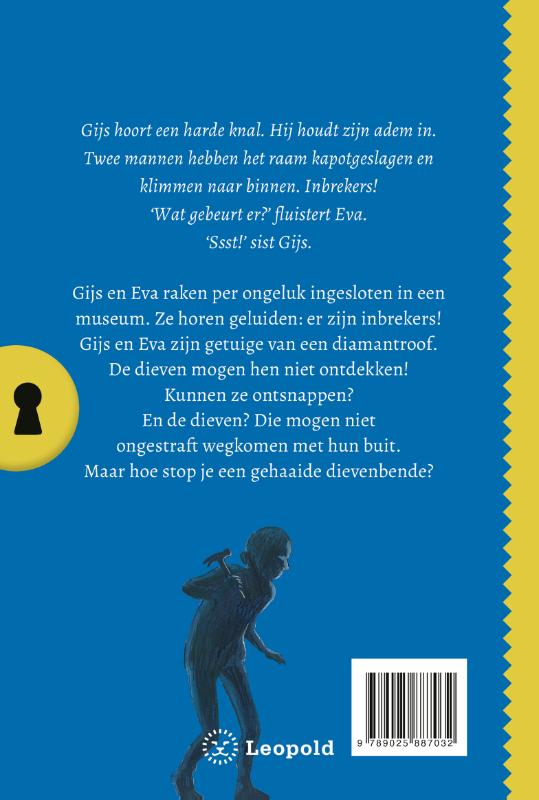 Achterkant van Het geheim van de duistere diamantroof