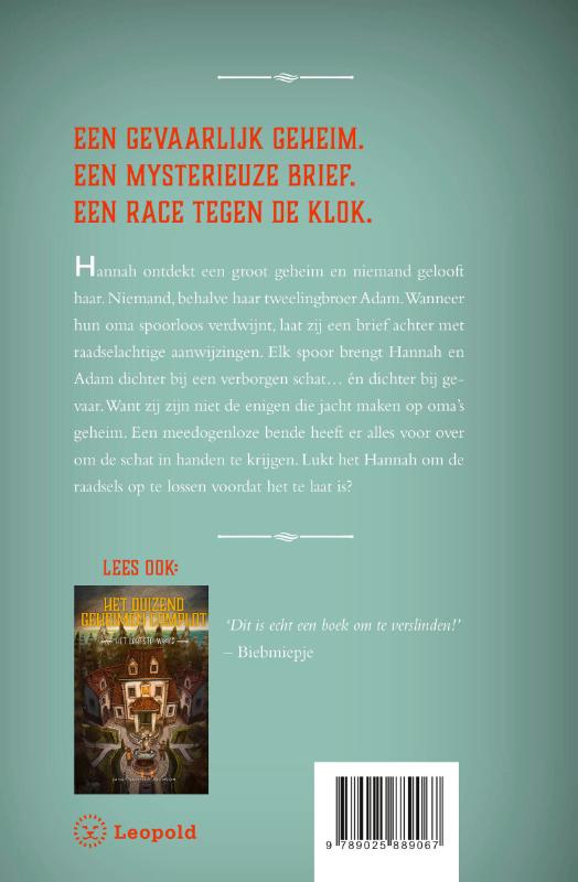 Achterkant van Het duizend geheimen complot