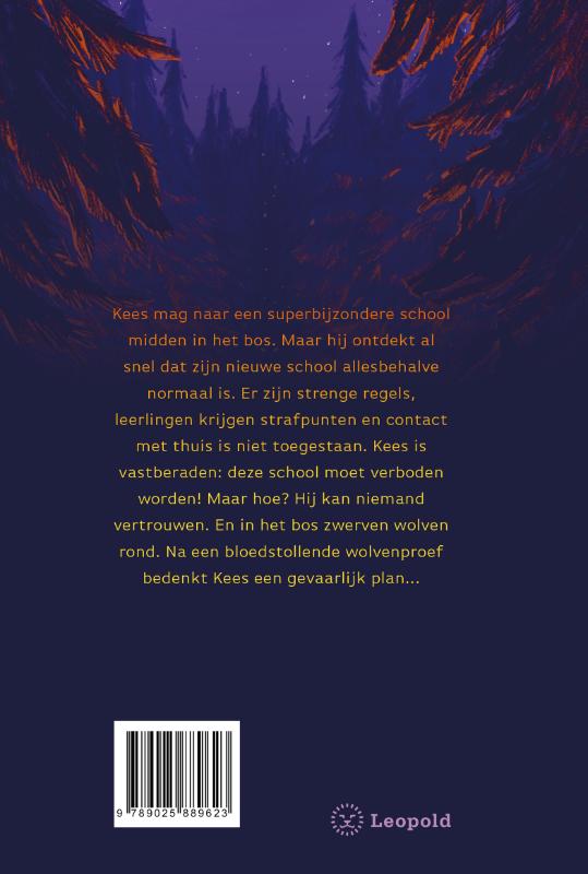 Achterkant van Weg met die school!
