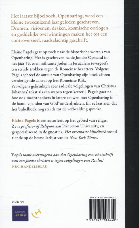 Achterkant van Het vreemdste bijbelboek