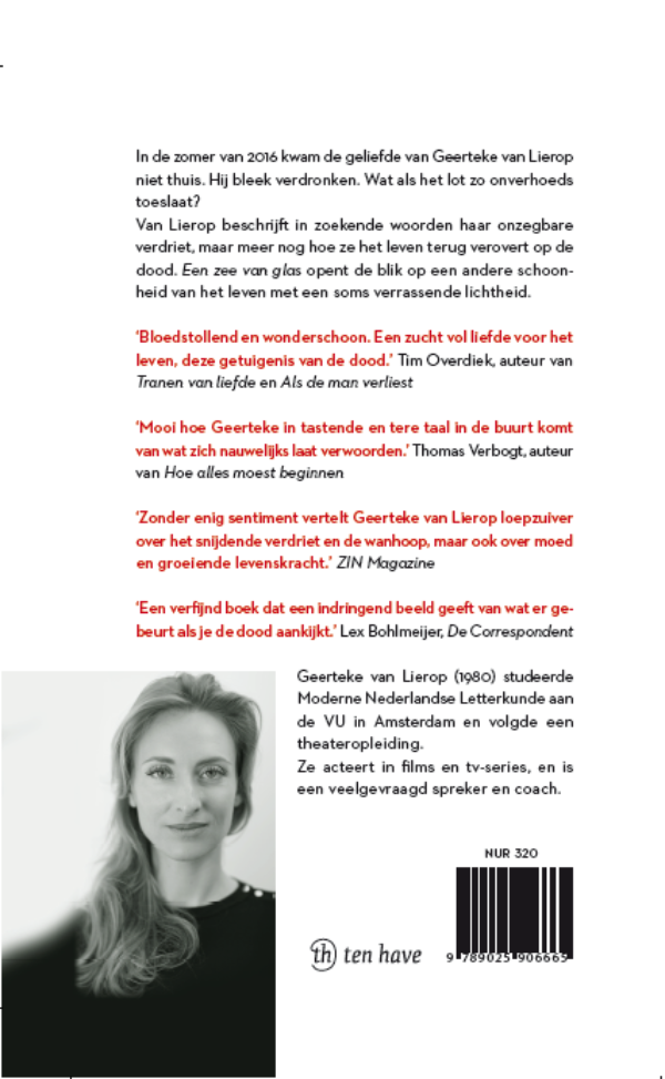 Achterkant van Een zee van glas