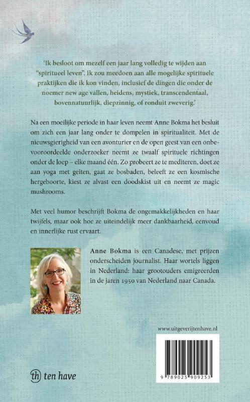 Achterkant van Het jaar waarin ik spiritueel probeerde te leven