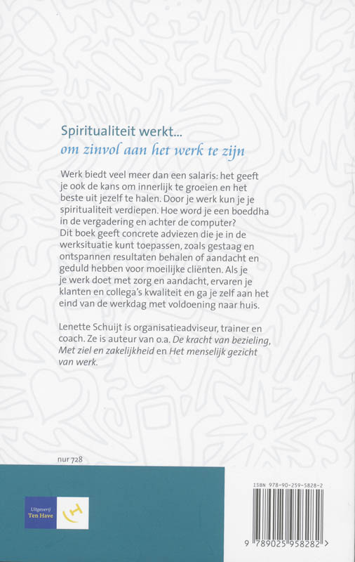 Achterkant van Spiritualiteit werkt in je werk