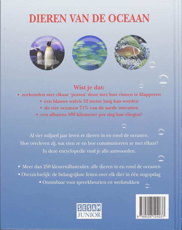 Achterkant van Dieren van de oceaan