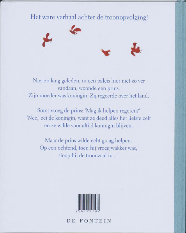 Achterkant van De prins en de puinhoop