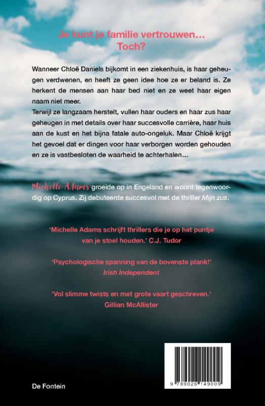 Achterkant van Tussen de leugens