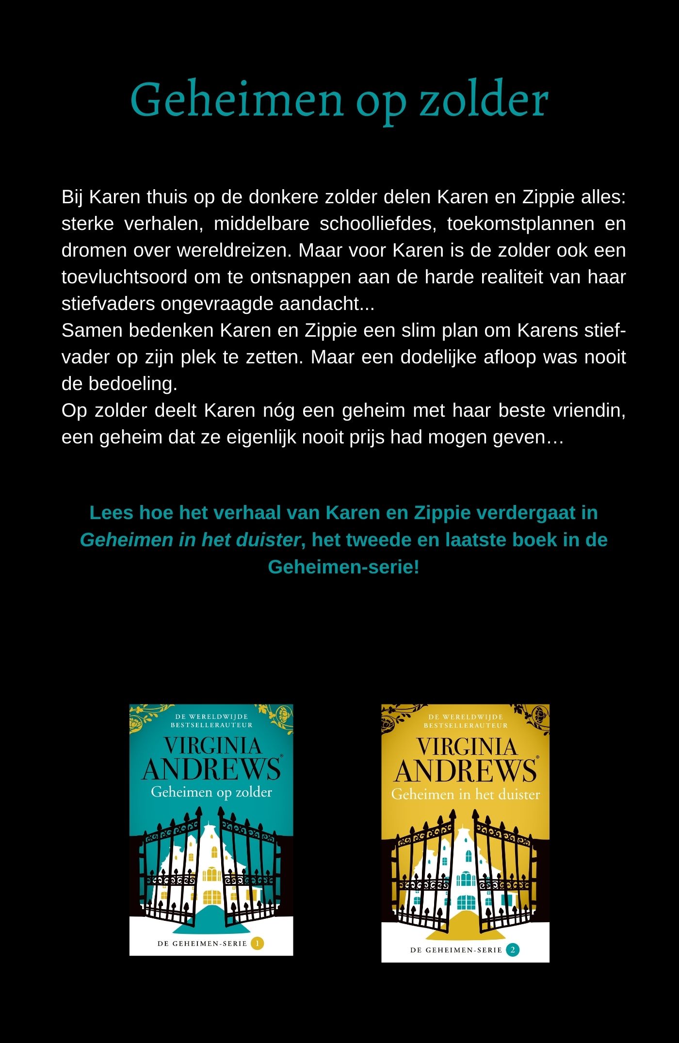 Achterkant van Geheimen op zolder