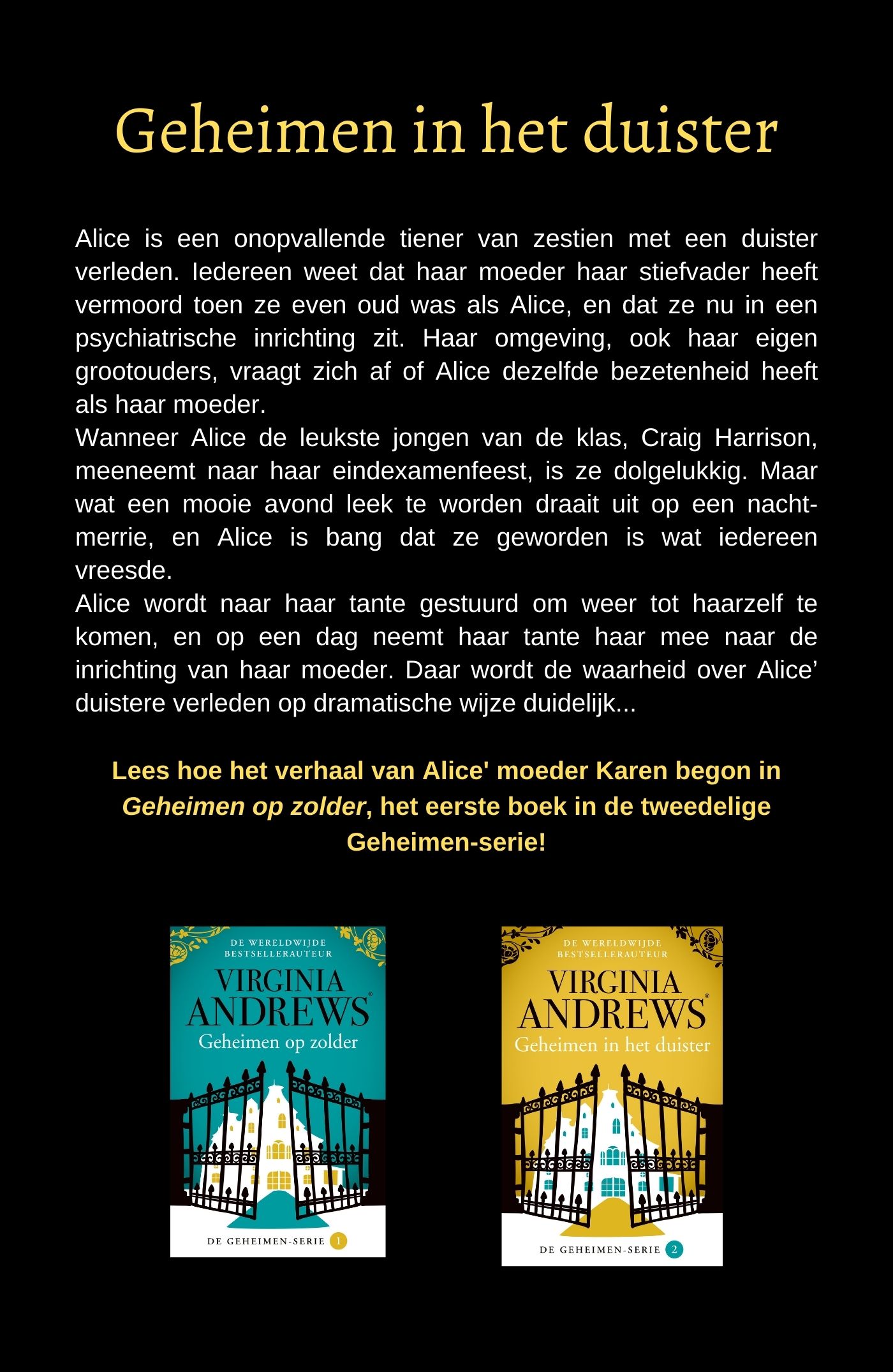 Achterkant van Geheimen in het duister