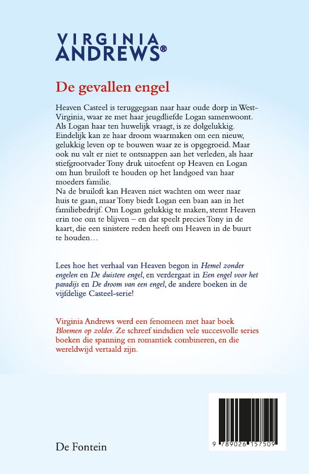 Achterkant van De gevallen engel