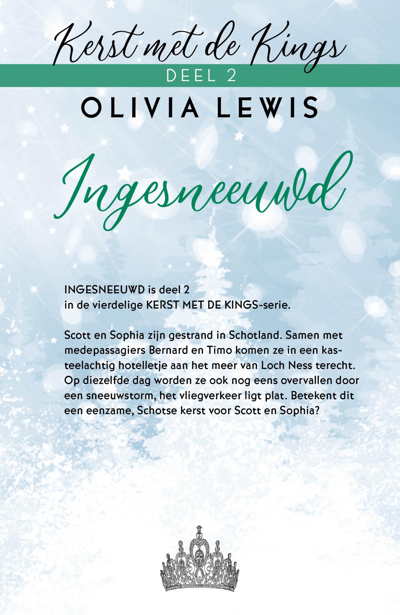 Achterkant van Ingesneeuwd