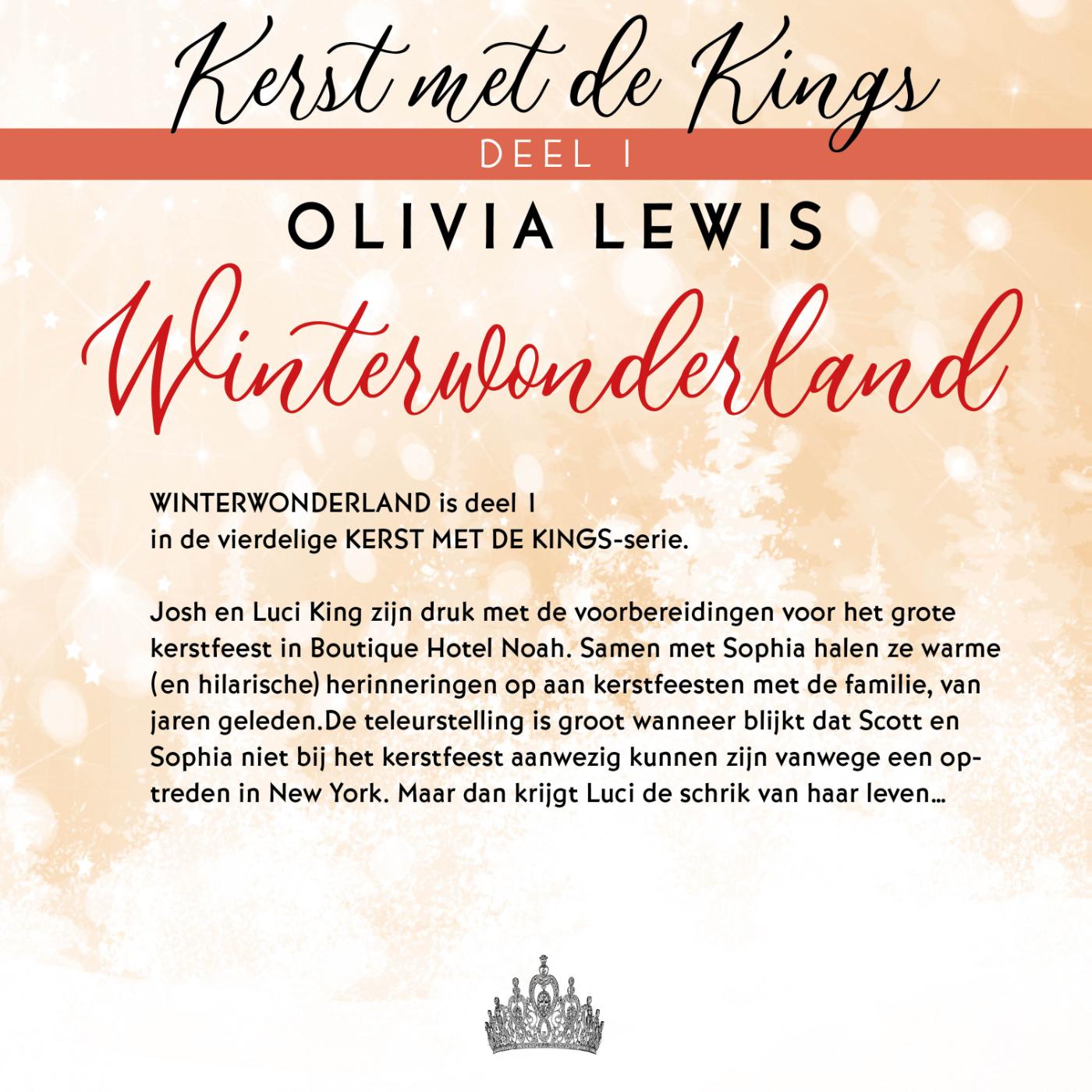 Achterkant van Winterwonderland