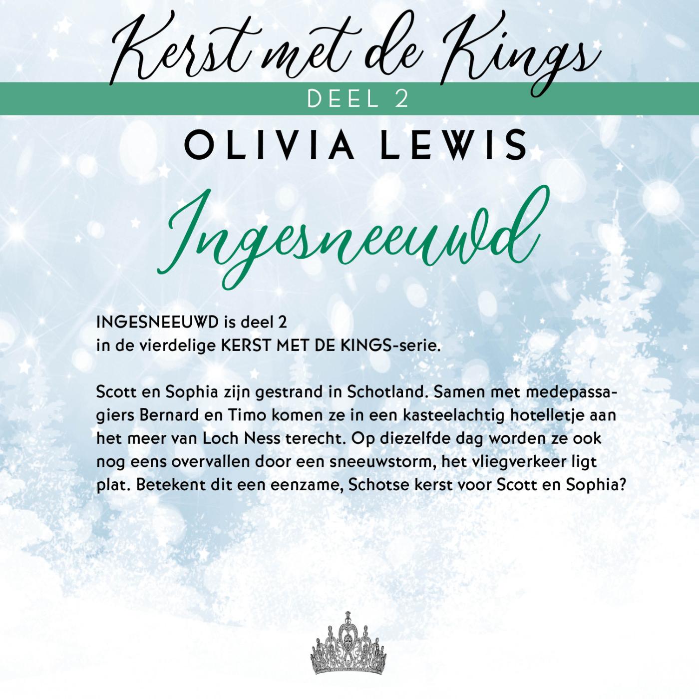 Achterkant van Ingesneeuwd