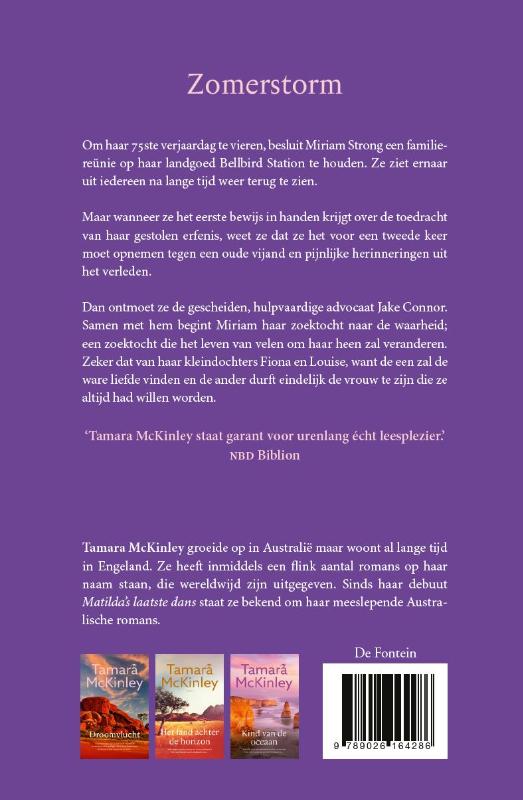 Achterkant van Zomerstorm