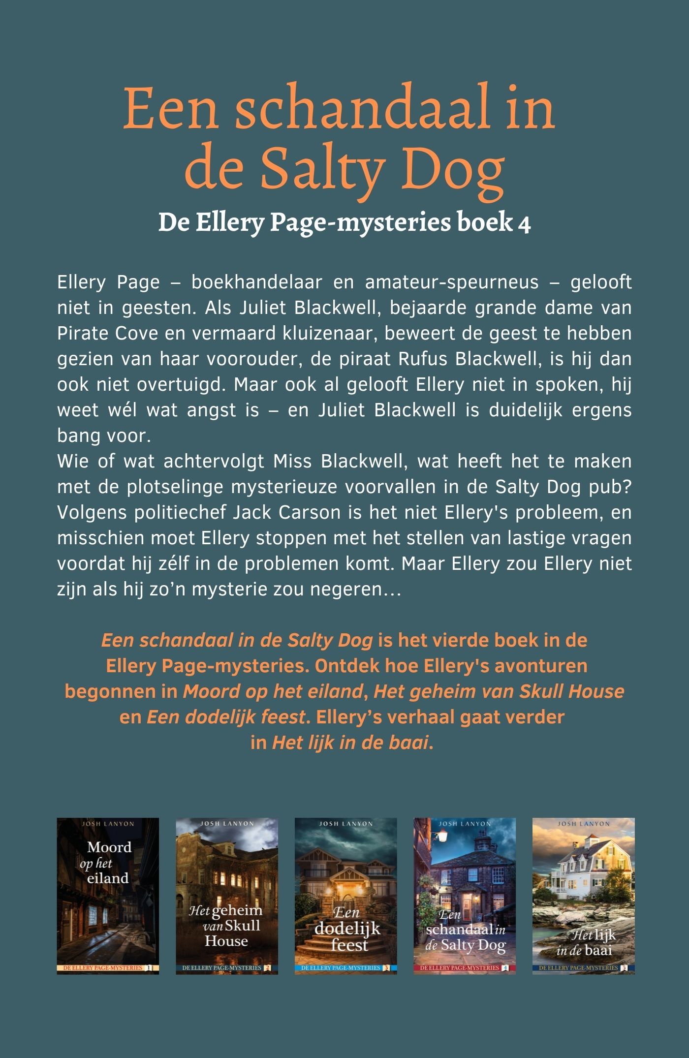 Achterkant van Een schandaal in de Salty Dog