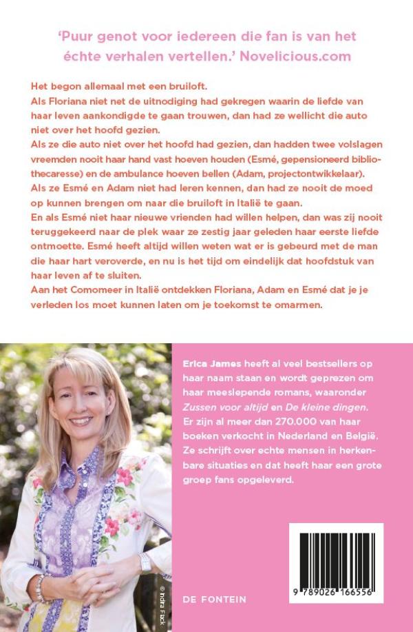 Achterkant van De zomer aan het meer