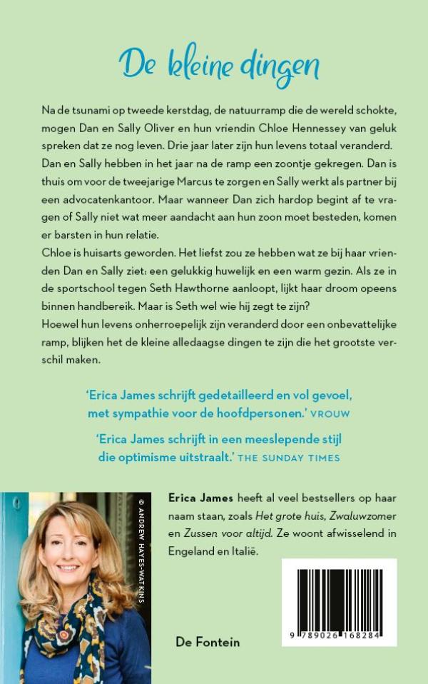 Achterkant van De kleine dingen