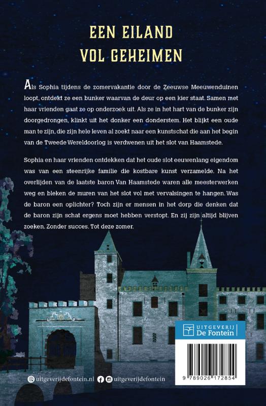 Achterkant van Het mysterie van Haamstede