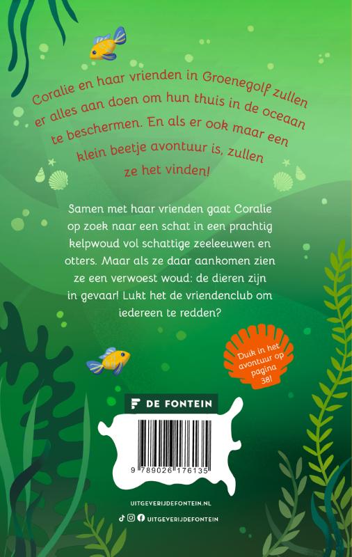 Achterkant van De groene schat