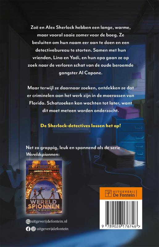 Achterkant van Het moerasmysterie