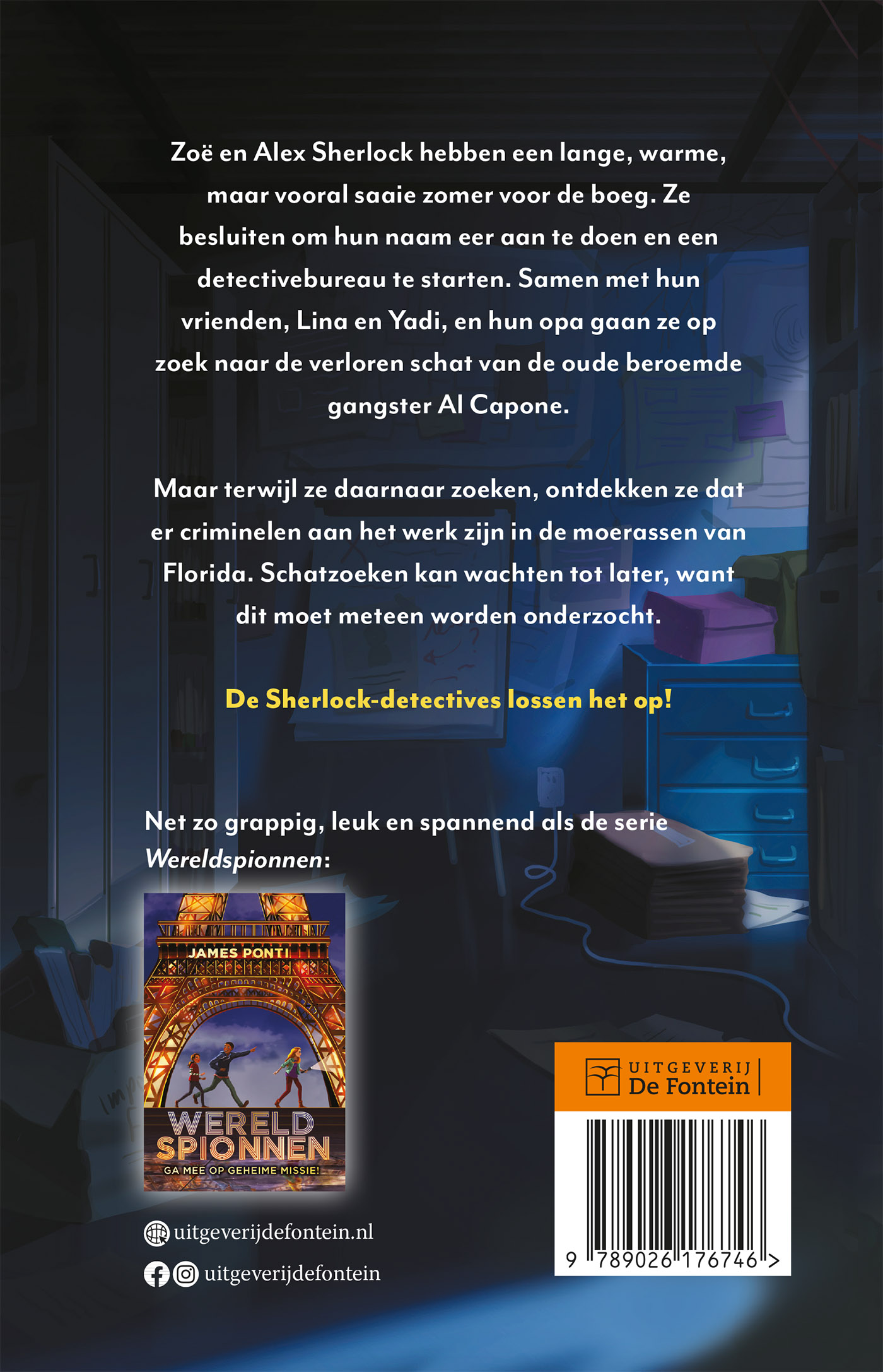 Achterkant van Het moerasmysterie