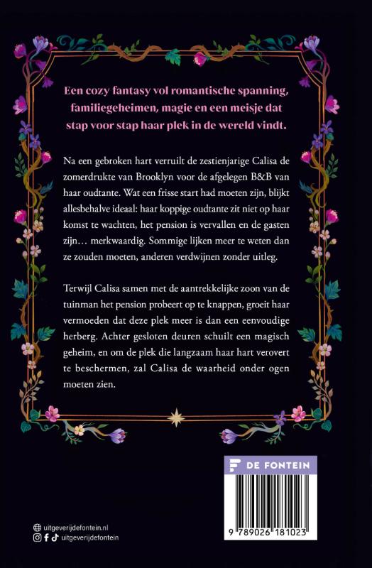 Achterkant van The Faraway Inn