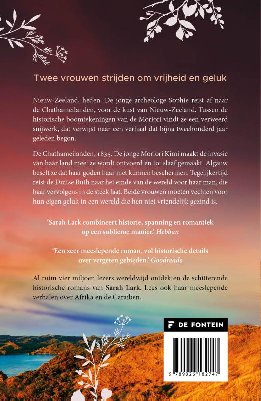 Achterkant van Het land van de dageraad