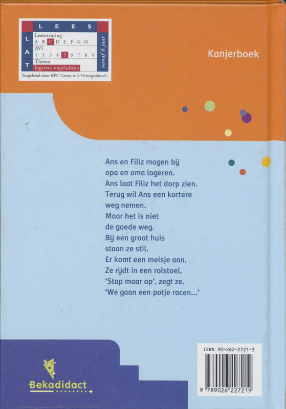 Achterkant van Een nieuwe vriendin