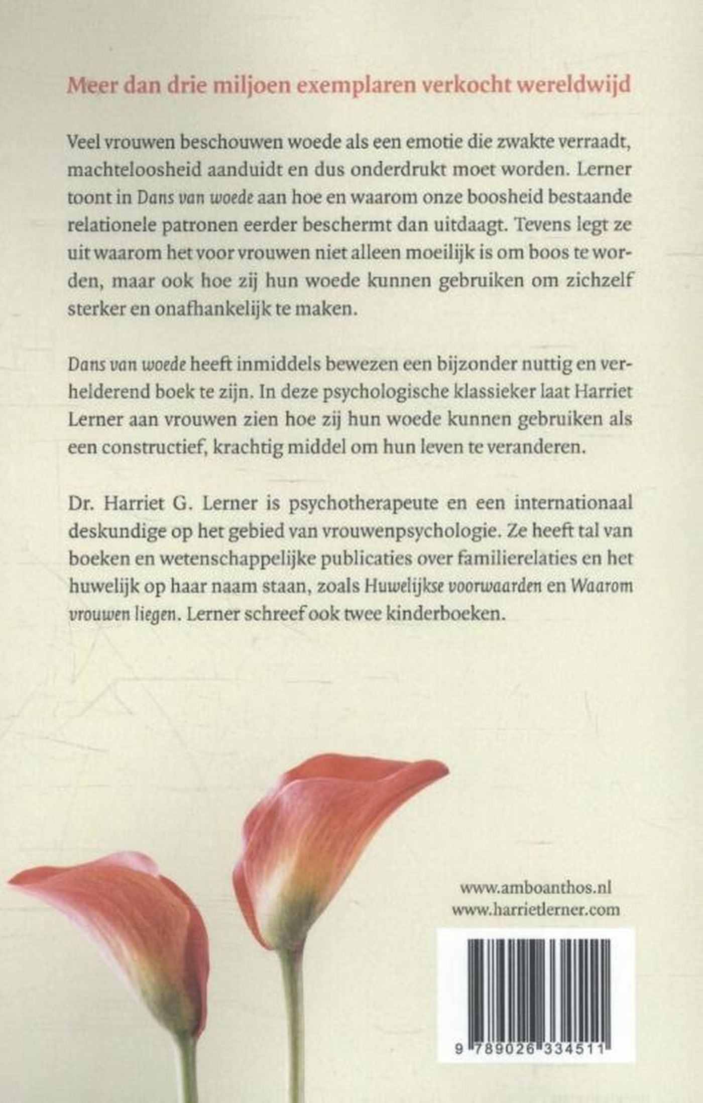Achterkant van Dans van woede