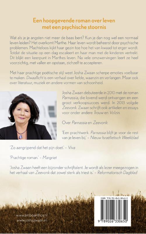 Achterkant van Dwaallicht