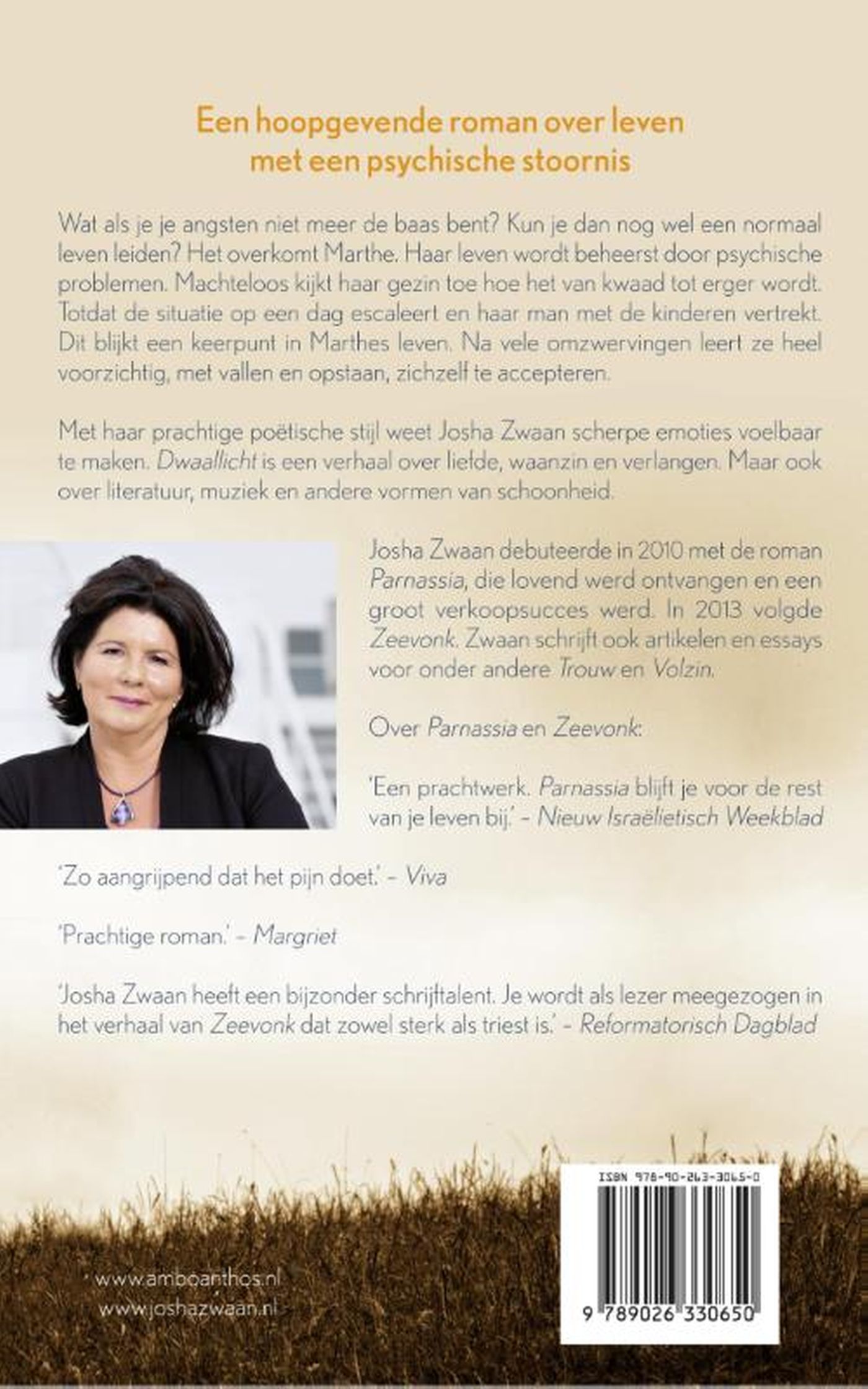 Achterkant van Dwaallicht
