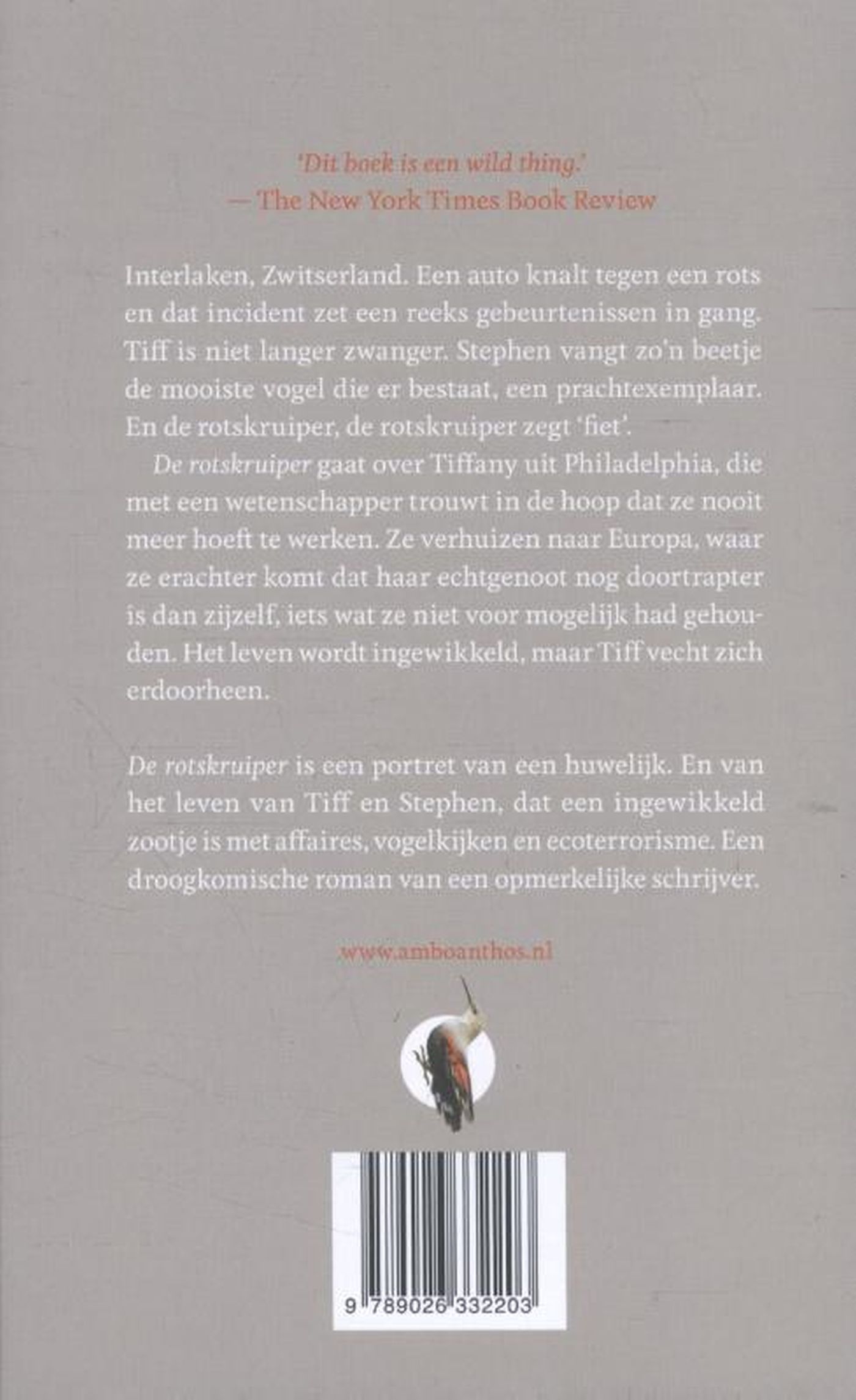 Achterkant van De rotskruiper