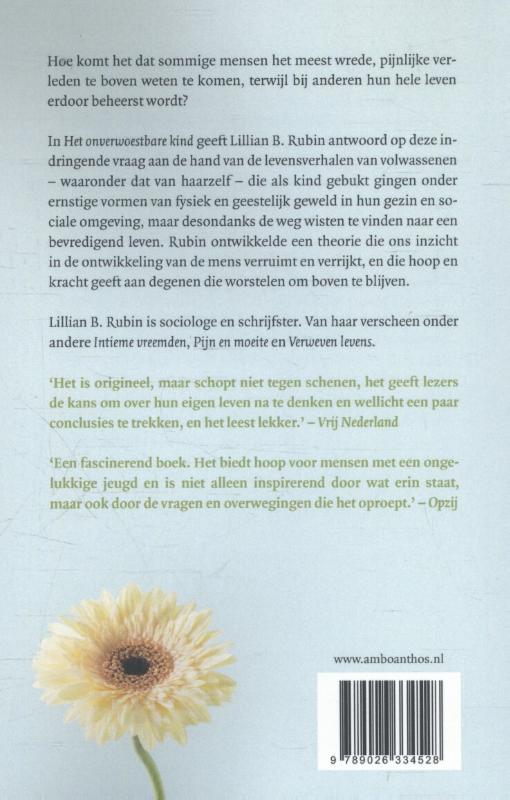 Achterkant van Het onverwoestbare kind