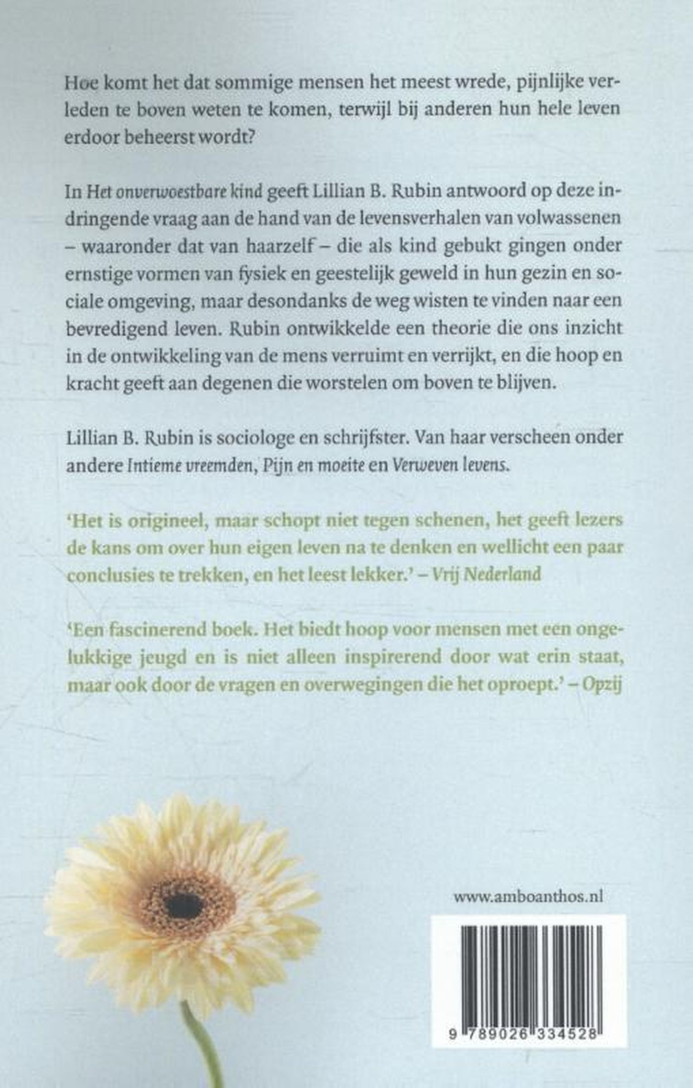 Achterkant van Het onverwoestbare kind