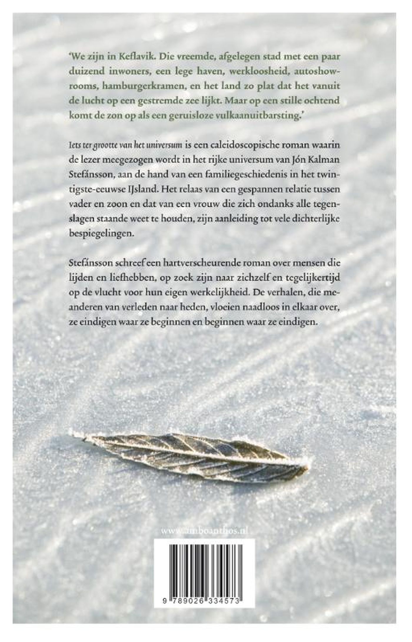 Achterkant van Iets ter grootte van het universum