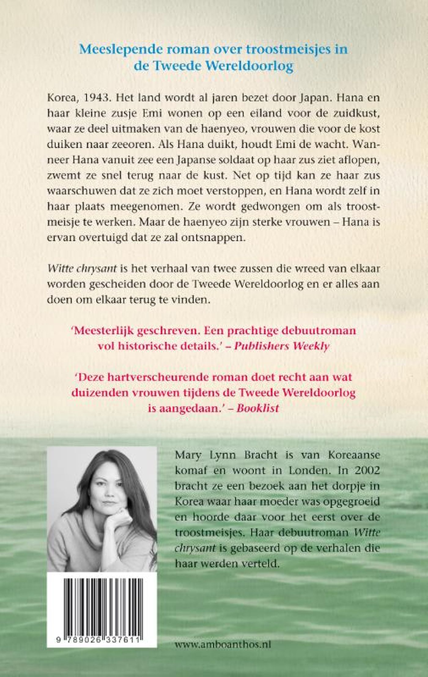 Achterkant van Witte chrysant