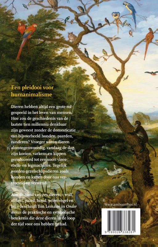 Achterkant van Onder dieren