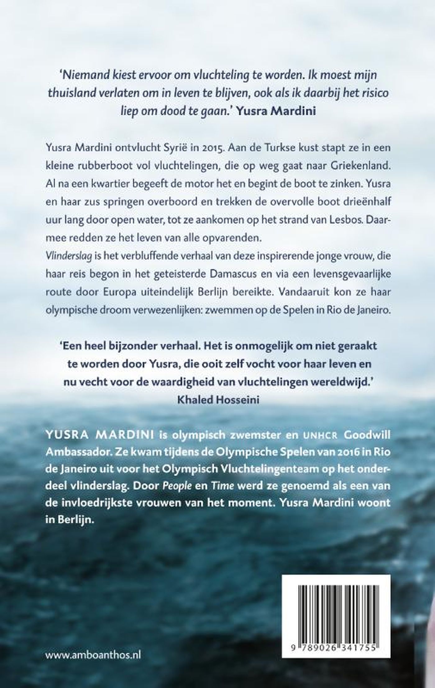 Achterkant van Vlinderslag
