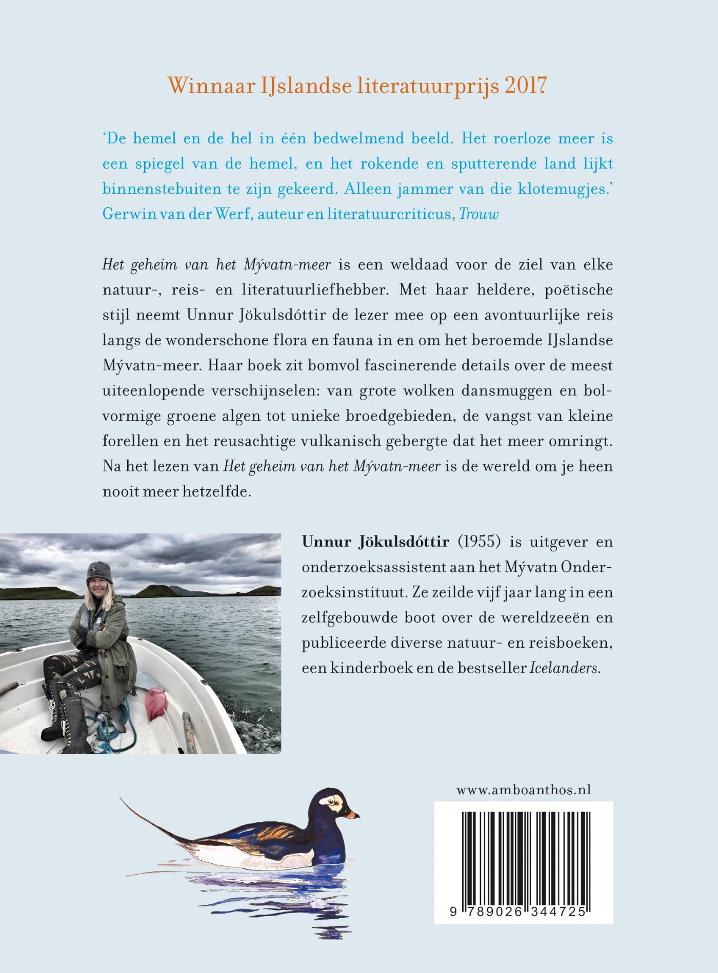 Achterkant van Het geheim van het Mývatn-meer