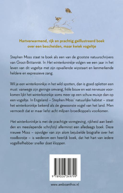 Achterkant van Het winterkoninkje