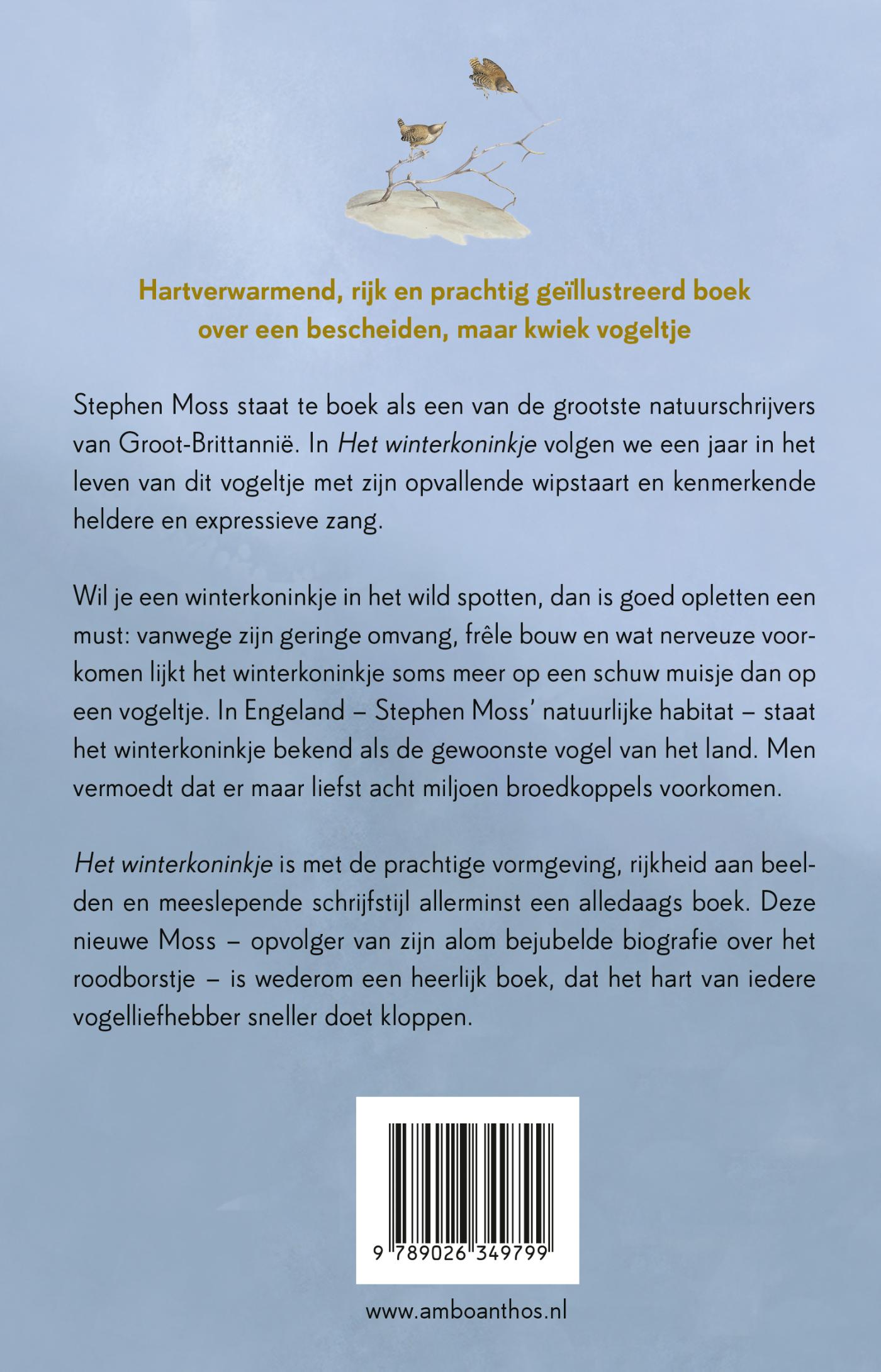 Achterkant van Het winterkoninkje