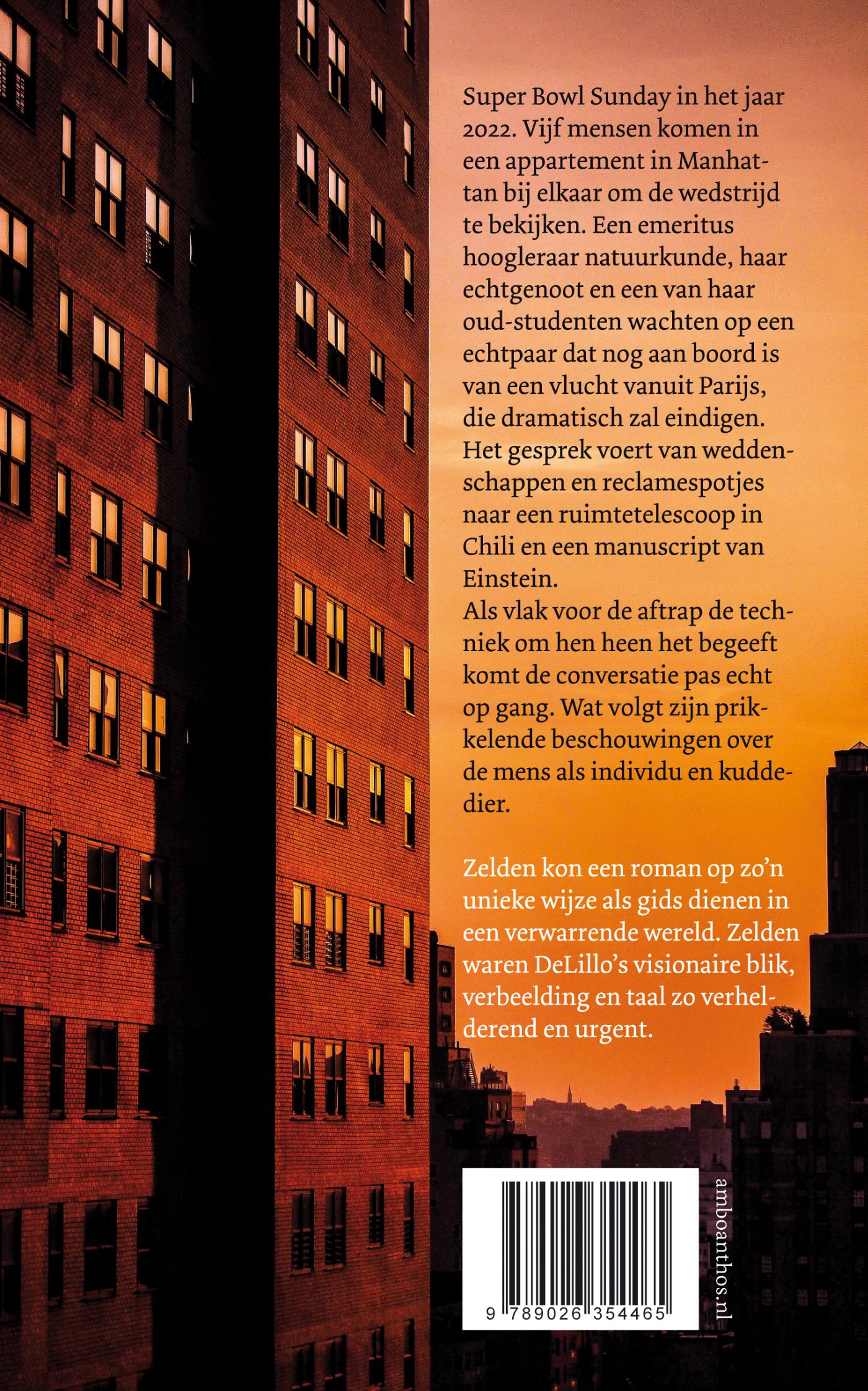 Achterkant van De stilte