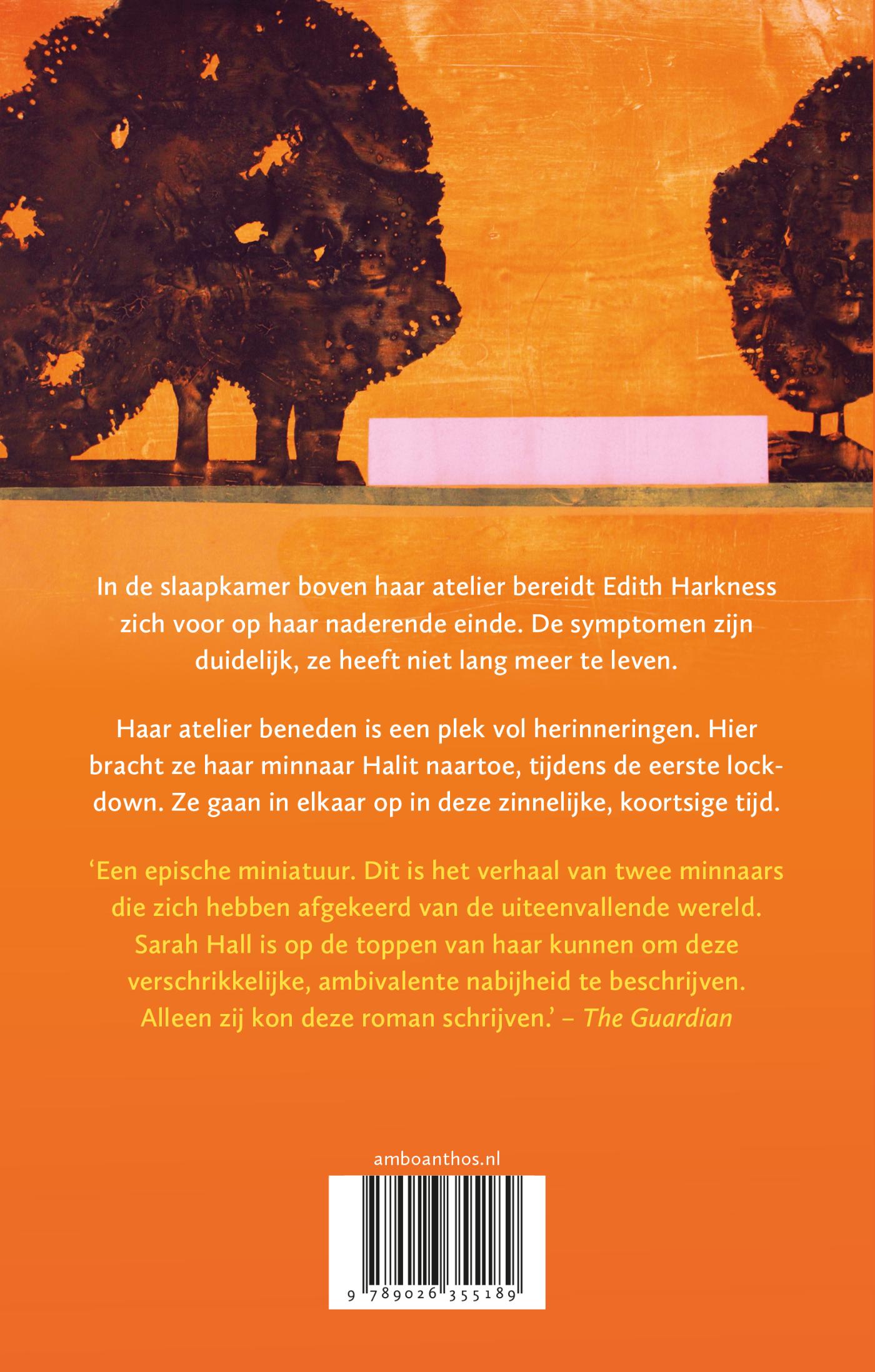 Achterkant van Het atelier