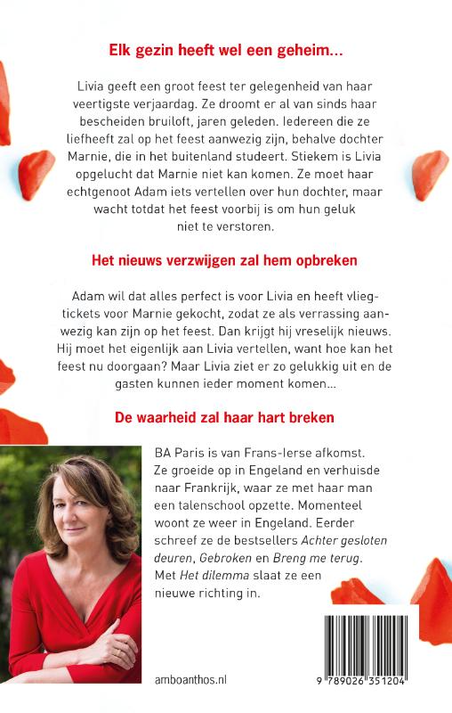 Achterkant van Het dilemma