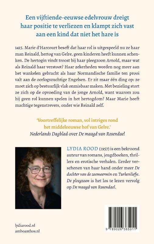 Achterkant van De pleegzoon