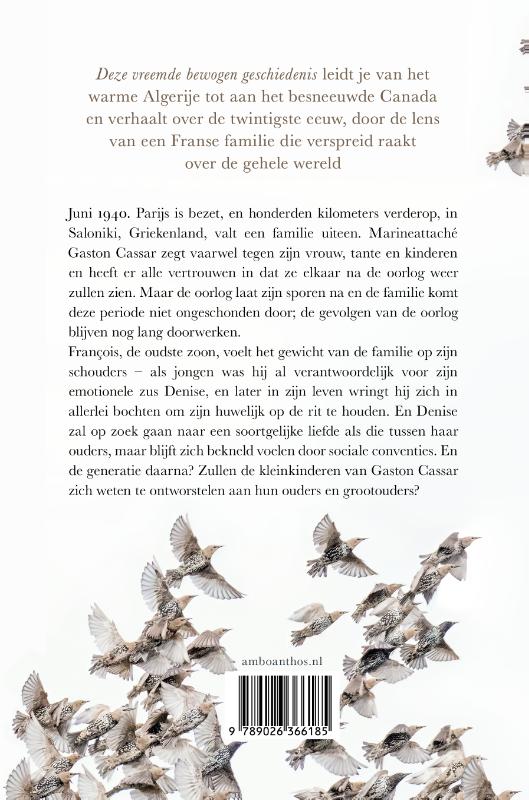 Achterkant van Deze vreemde bewogen geschiedenis