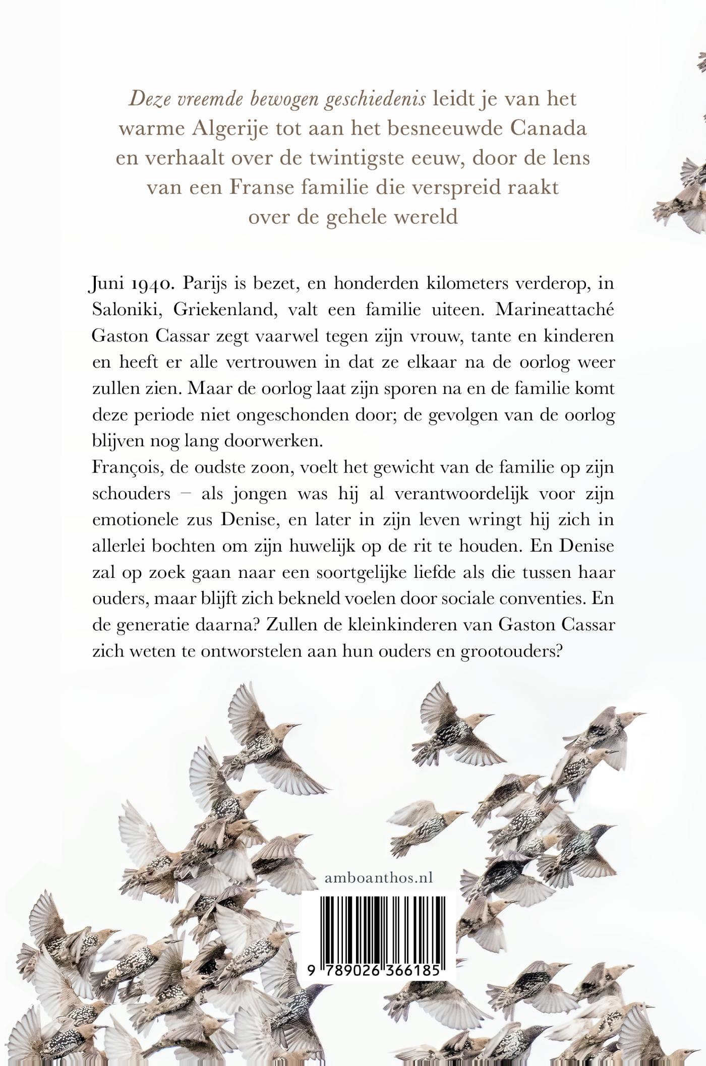 Achterkant van Deze vreemde bewogen geschiedenis
