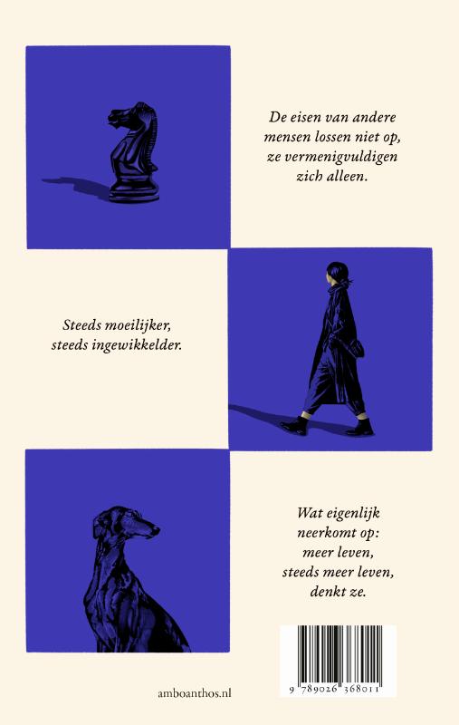 Achterkant van Intermezzo