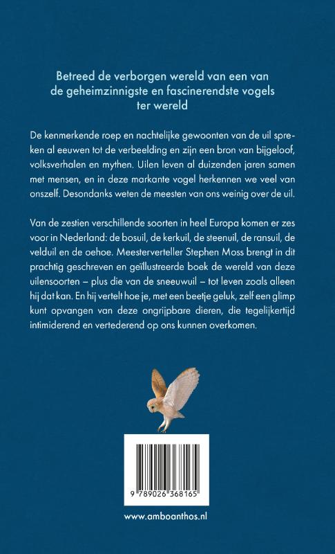Achterkant van De uil