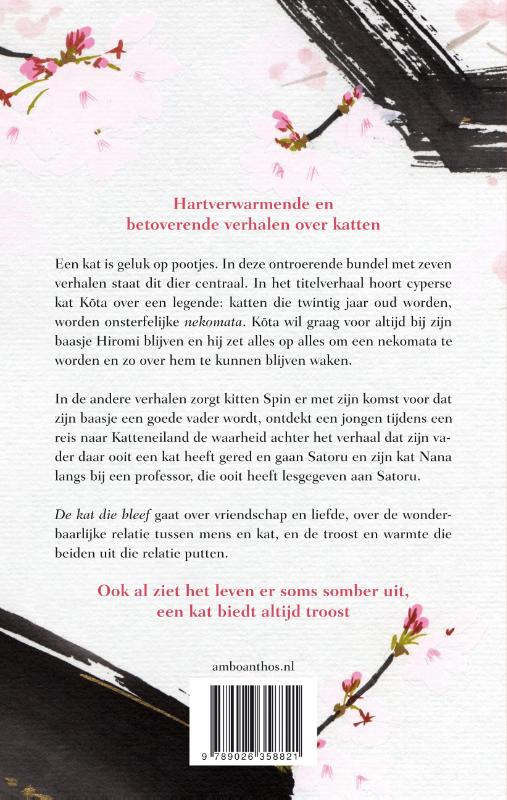 Achterkant van De kat die bleef