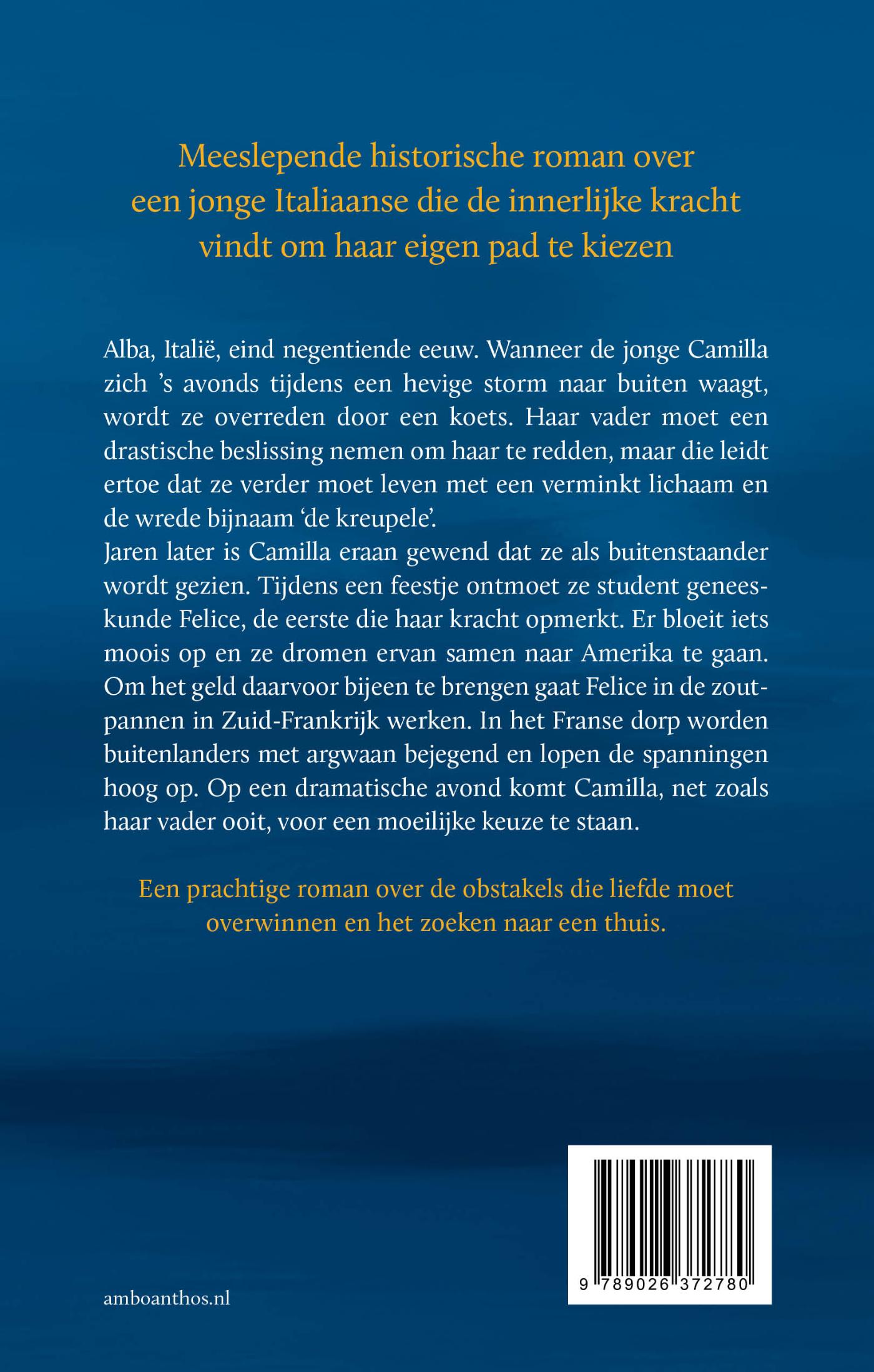 Achterkant van Sporen van zout